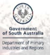 SA Government